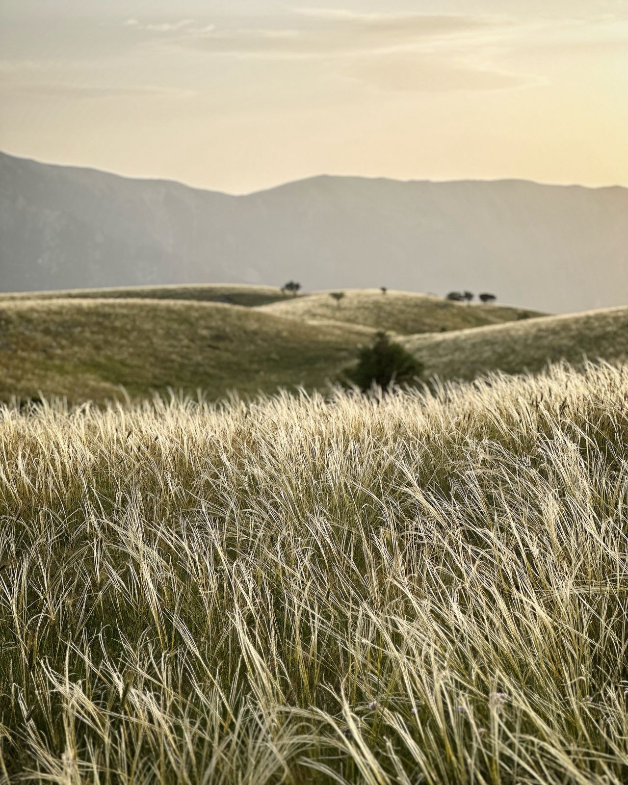 Albania Moto Rental gallery image