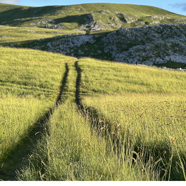 Riviera Coastal Escape